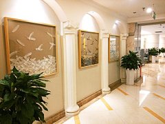 重庆真伊医院毛发种植中心价格表（价目表）怎么样，好不好